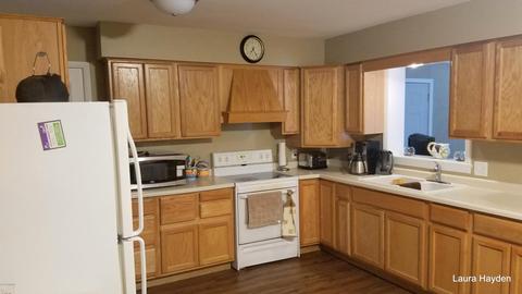 5651 Ivan Rd, Saranac, MI 48881 photo 20