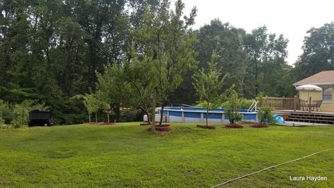 5651 Ivan Rd, Saranac, MI 48881 photo 6