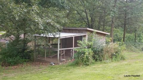 5651 Ivan Rd, Saranac, MI 48881 photo 12