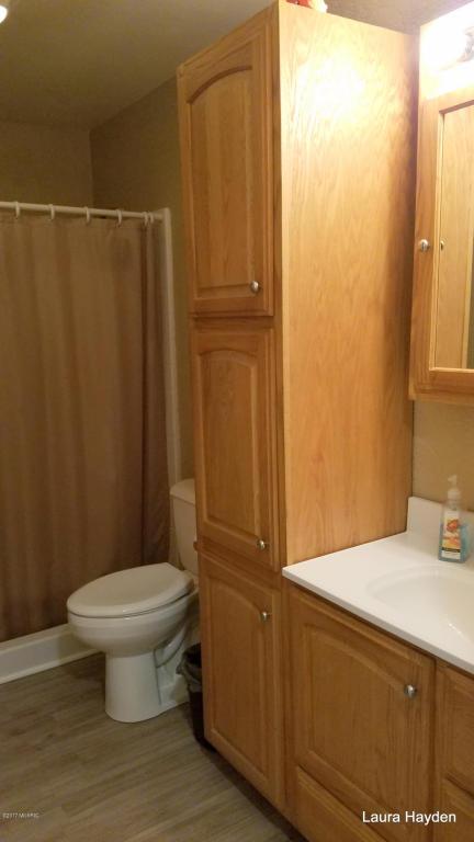 5651 Ivan Rd, Saranac, MI 48881 photo 23