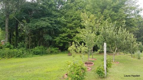 5651 Ivan Rd, Saranac, MI 48881 photo 2