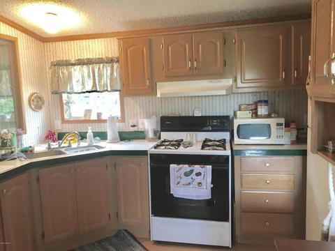 10934 Beardsley Rd, Carson City, MI 48811 photo 9