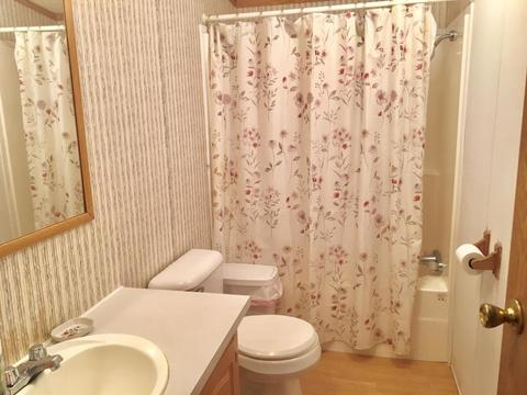 10934 Beardsley Rd, Carson City, MI 48811 photo 15
