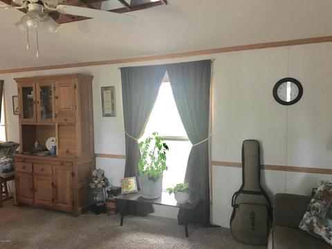 10934 Beardsley Rd, Carson City, MI 48811 photo 12
