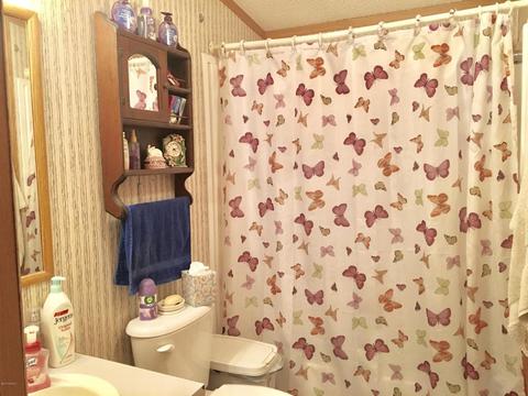10934 Beardsley Rd, Carson City, MI 48811 photo 13