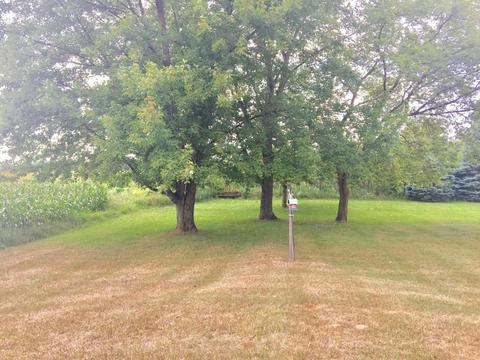 10934 Beardsley Rd, Carson City, MI 48811 photo 19