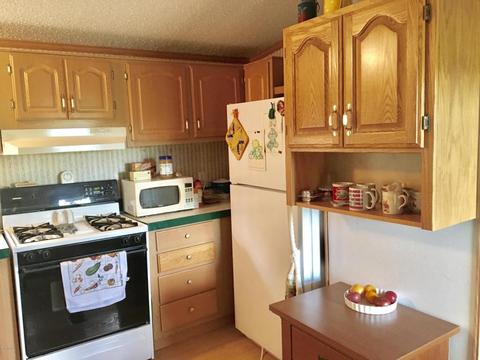 10934 Beardsley Rd, Carson City, MI 48811 photo 10