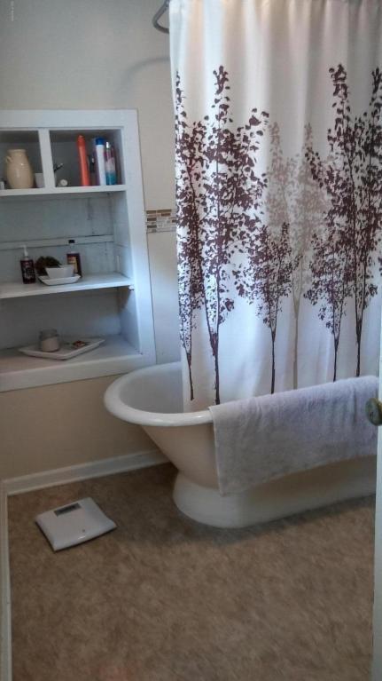 319 Io St, Belding, MI 48809 photo 7