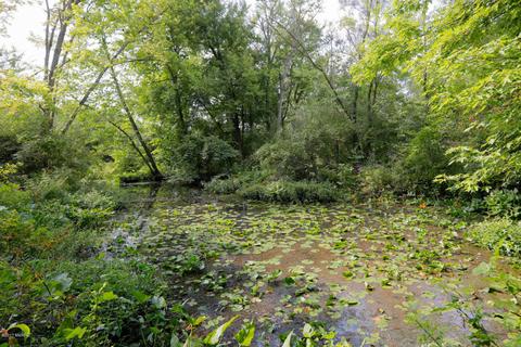 66761 Winding River Rd, Constantine, MI 49042 photo 31