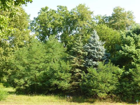 13096 M-89, Augusta, MI 49012 photo 27