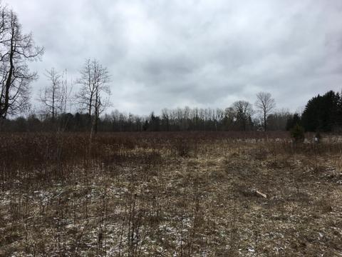 39401 78th, Covert, MI 49043 photo 2