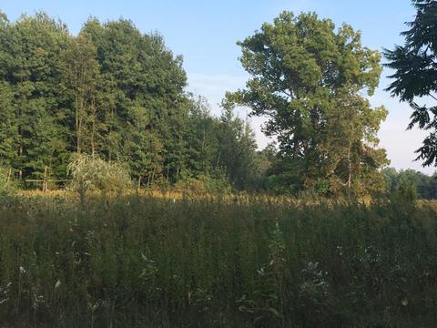 39401 78th, Covert, MI 49043 photo 3