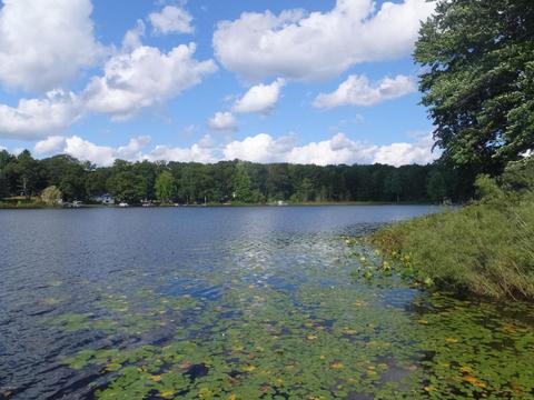 5178 E Loop Rd, Hesperia, MI 49421 photo 5