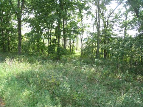 24263 Flach Rd, Mendon, MI 49072 photo 1