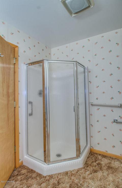 311 Madison St, Bellevue, MI 49021 photo 19
