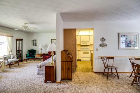 311 Madison St, Bellevue, MI 49021 photo 24
