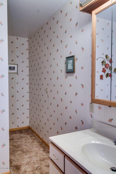 311 Madison St, Bellevue, MI 49021 photo 17