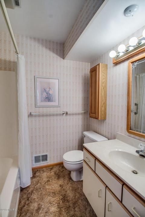 311 Madison St, Bellevue, MI 49021 photo 23