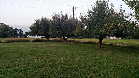 3166 E Wilson Rd, Custer, MI 49405 photo 46