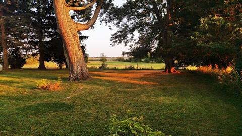 3166 E Wilson Rd, Custer, MI 49405 photo 52