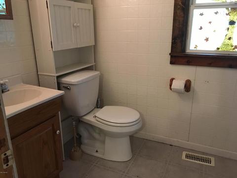 108 E Lincoln, Reading, MI 49274 photo 9