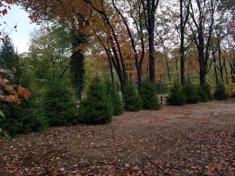 13799 Tamara Ln, Harbert, MI 49115 photo 30