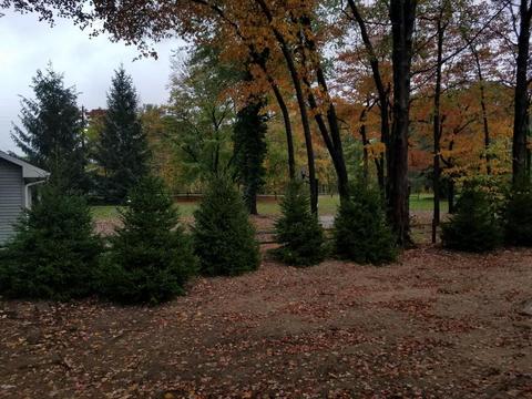 13799 Tamara Ln, Harbert, MI 49115 photo 31