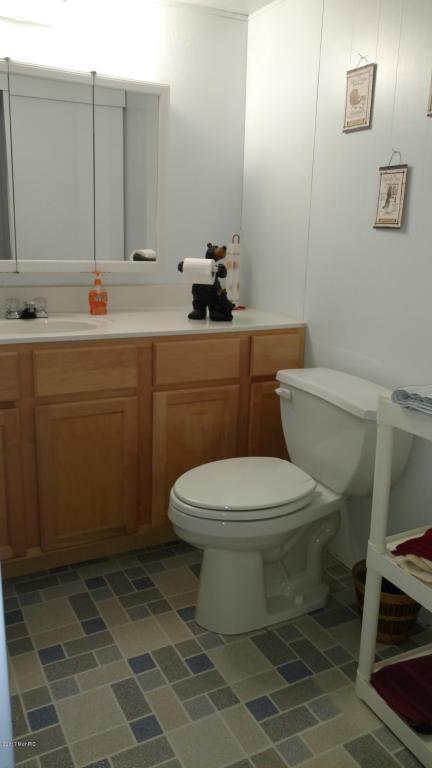 881 E 16th St, Baldwin, MI 49304 photo 9