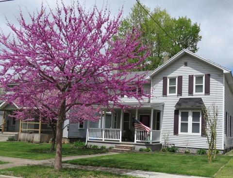 83 E Pierce St, Coldwater, MI 49036 photo 1