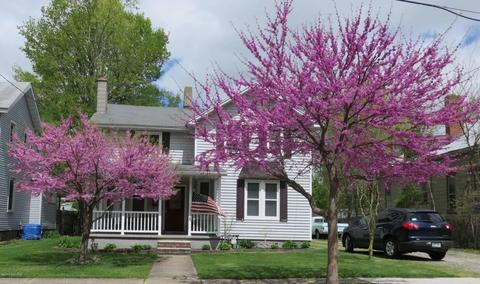83 E Pierce St, Coldwater, MI 49036 photo 2