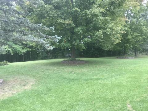 35521 Baseline Rd, Gobles, MI 49055 photo 24