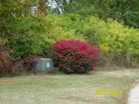 31449 Longnecker Rd, Leonidas, MI 49066 photo 13