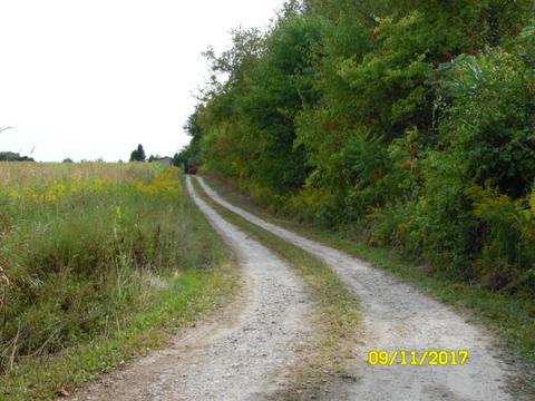 31449 Longnecker Rd, Leonidas, MI 49066 photo 14