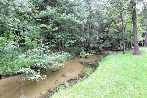 2427 N Luce Ave, White Cloud, MI 49349 photo 33