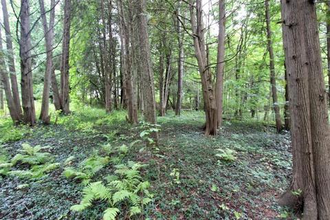 2427 N Luce Ave, White Cloud, MI 49349 photo 30