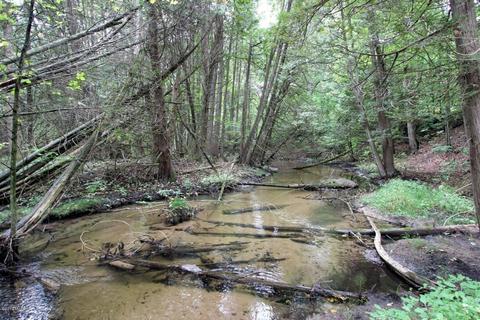 2427 N Luce Ave, White Cloud, MI 49349 photo 36