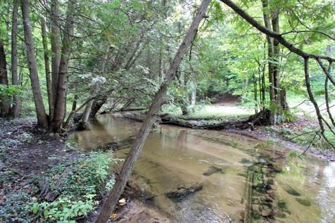 2427 N Luce Ave, White Cloud, MI 49349 photo 32