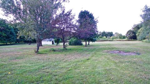 379 E Klees Rd, Stanton, MI 48888 photo 18