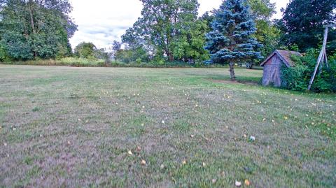 379 E Klees Rd, Stanton, MI 48888 photo 29
