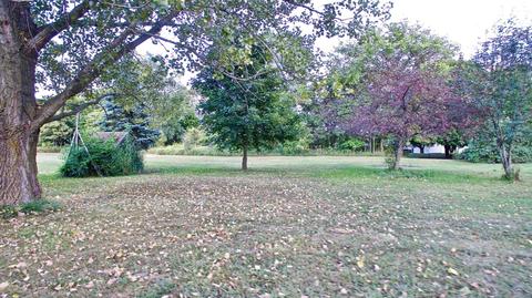 379 E Klees Rd, Stanton, MI 48888 photo 27