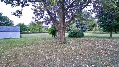 379 E Klees Rd, Stanton, MI 48888 photo 26