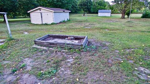 379 E Klees Rd, Stanton, MI 48888 photo 20