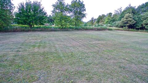 379 E Klees Rd, Stanton, MI 48888 photo 32