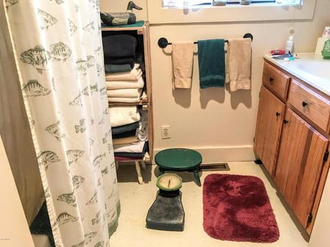 3845 50th Ave, Sears, MI 49679 photo 23