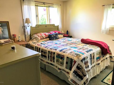 3845 50th Ave, Sears, MI 49679 photo 21
