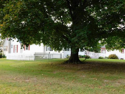515 N 10th St, Plainwell, MI 49080 photo 32