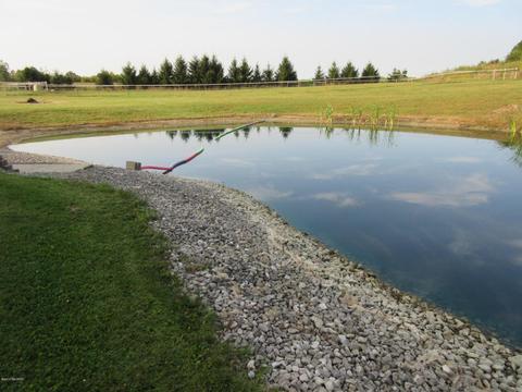 657 E Winegar Rd, Morrice, MI 48857 photo 8