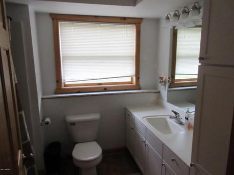 657 E Winegar Rd, Morrice, MI 48857 photo 40