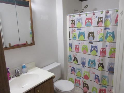 657 E Winegar Rd, Morrice, MI 48857 photo 19