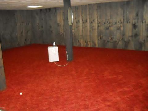 8732 Godfrey St, Belding, MI 48809 photo 18